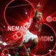 Nemanja Vidić